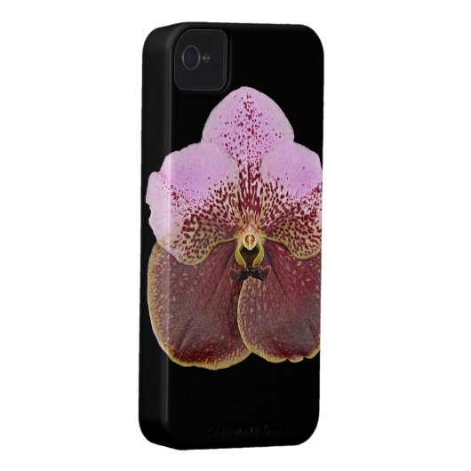Orchid Cell Phone Case, iPhone 4 Case-Mate iPhone Case (Back/Right)