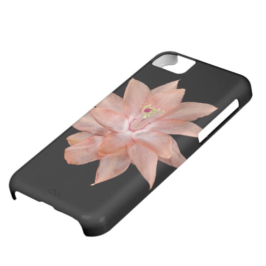 Orchid Cell Phone Case iPhone 5C (Bottom)