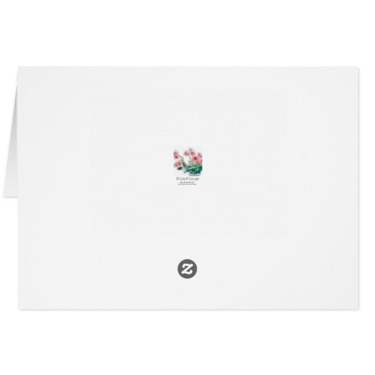 Orchid Darwinara Charm 'Blue Pacific' (Back Horizontal)