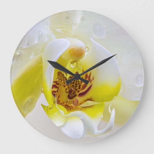 Orchid Dew Large Clock