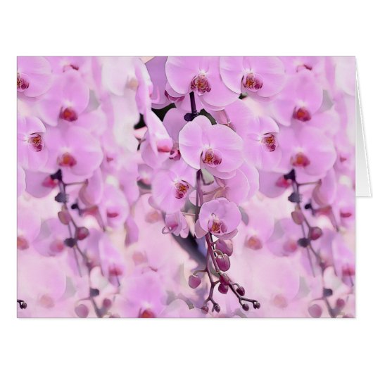 orchid dream cards (Front Horizontal)