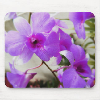 Orchid Dreams Mouse Pad