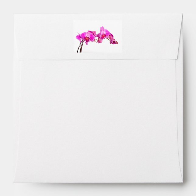 Orchid Envelope (Back (Top Flap))
