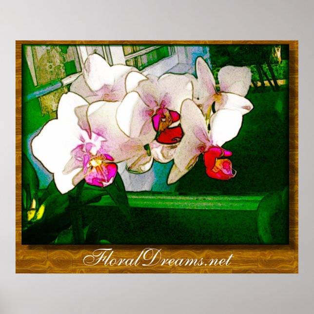 Orchid Explosion Poster (Front)