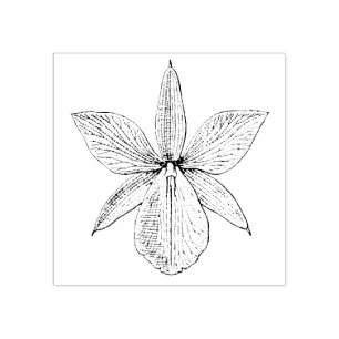 Orchid Flower Blossom Tropical Hawaii Botanical Rubber Stamp