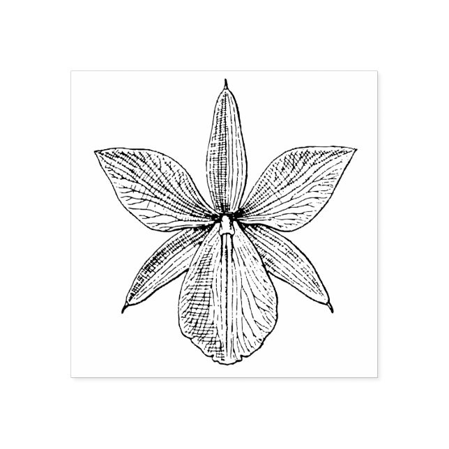 Orchid Flower Blossom Tropical Hawaii Botanical Rubber Stamp (Imprint)