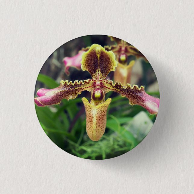 Orchid flower button (Front)