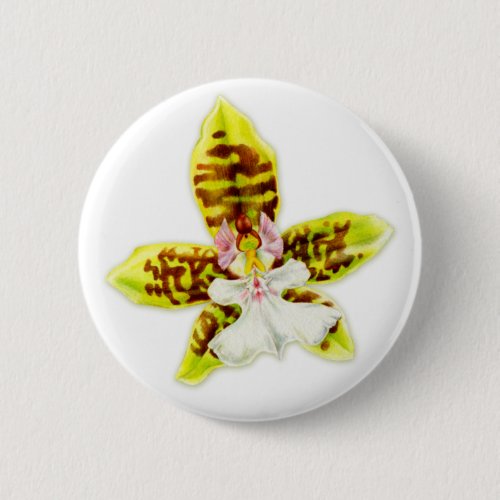 Orchid flower fine art Button