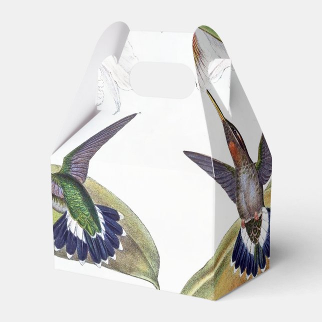 Orchid Flower Hummingbird Birds Wildlife Favor Box (Front Side)