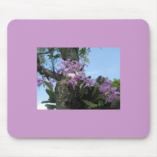 Orchid Flower Mousepad - (Front)