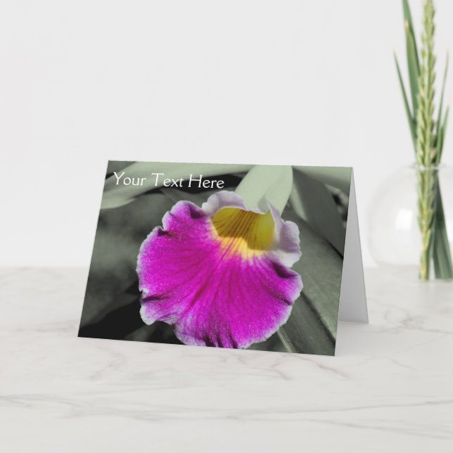 Orchid Flower Partial Color Photo Card (Front)