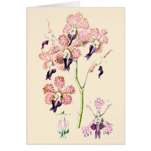 Orchid flower Pink and purple spotted blank card