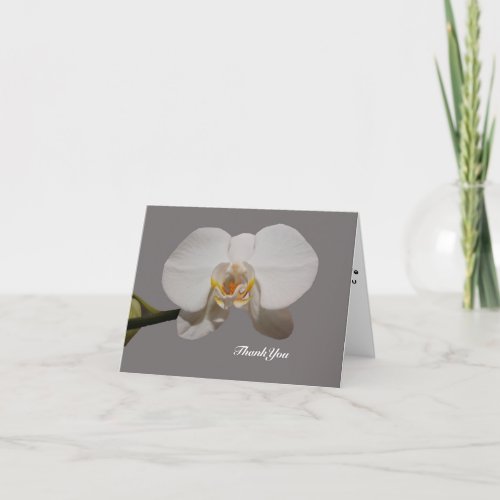 Orchid Flower Sympathy Thank You Card