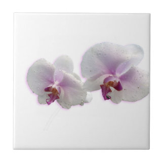 Orchid Flowers Ceramic Tile