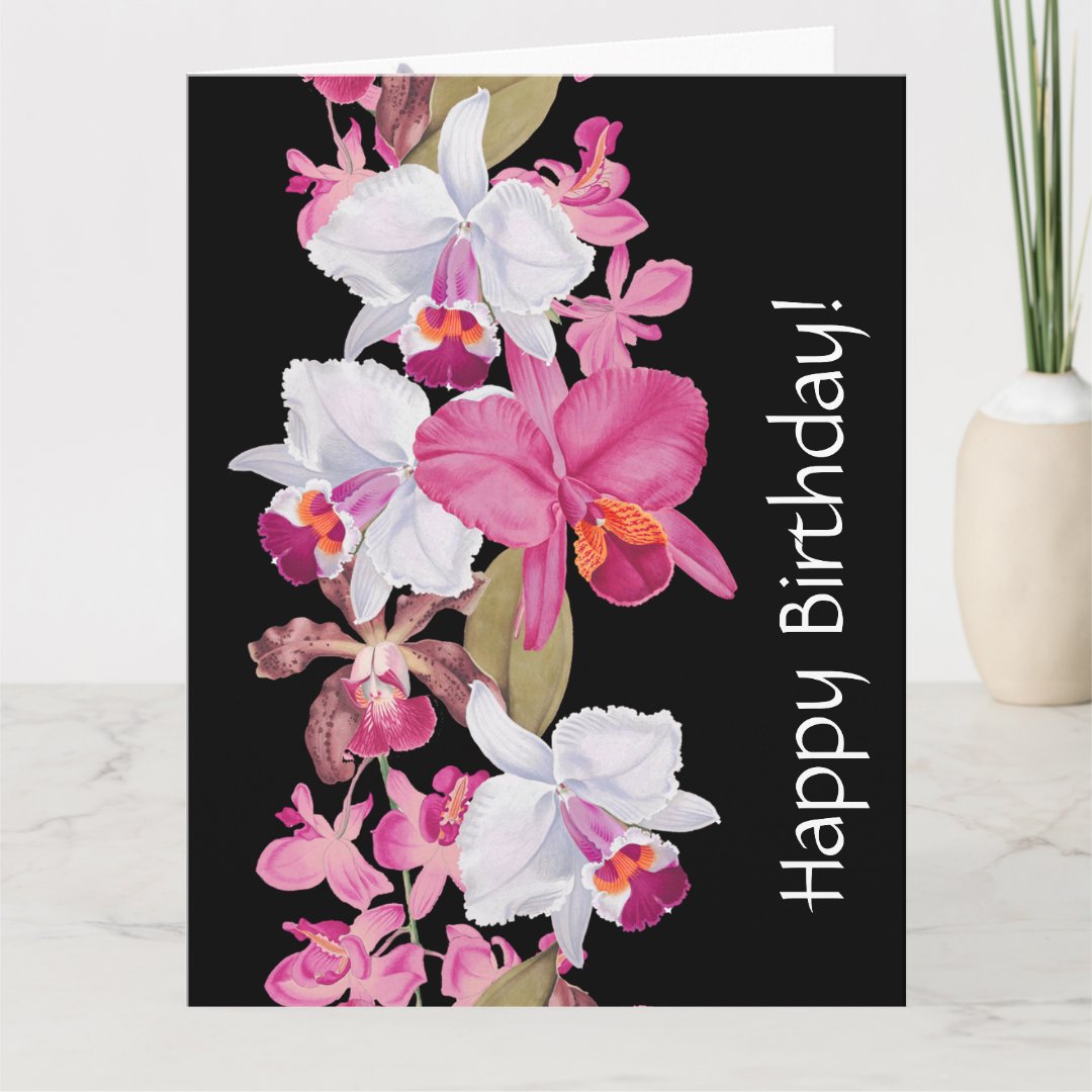 Orchid Flowers Floral Birthday Big Greeting Card Zazzle