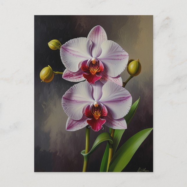 Orchid flowers Oil Painting Postcard (Front)