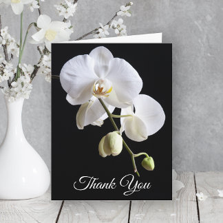 Orchid Flowers on Black Sympathy Letterpress Thank You Card