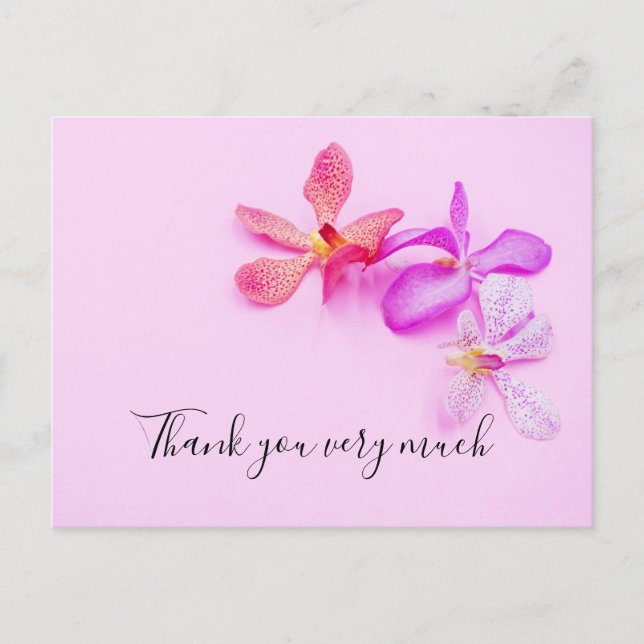 Orchid flowers on pink background Thank You Card (Front)