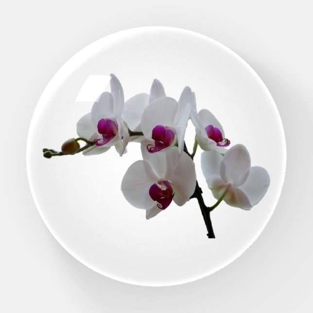 Orchid Flowers Paperweight (Front)