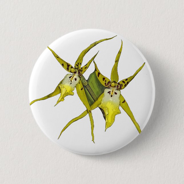 Orchid Flowers Pinback Button (Front)