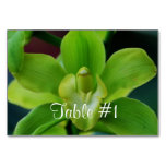 Orchid Flowers Table Number