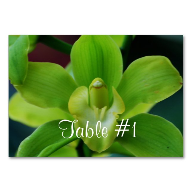 Orchid Flowers Table Number (Front)