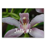 Orchid Flowers Table Number