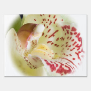 Orchid flowers yard sign