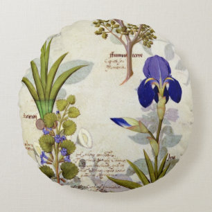 Orchid & Fumitory or Bleeding Heart Hedera & Iris Round Pillow