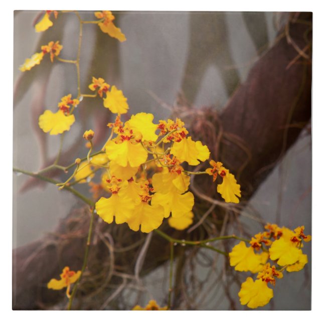 Orchid - Golden morning Ceramic Tile (Front)