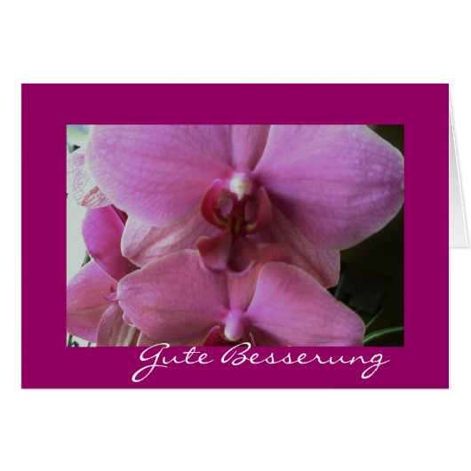 orchid-good improvement (Front Horizontal)