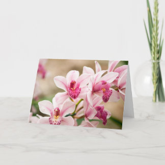 Orchid Greeting Card