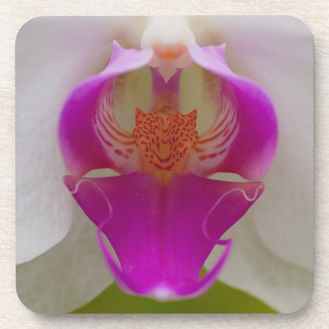 Orchid Hard Plastic Coasters (set of 6) (Front)