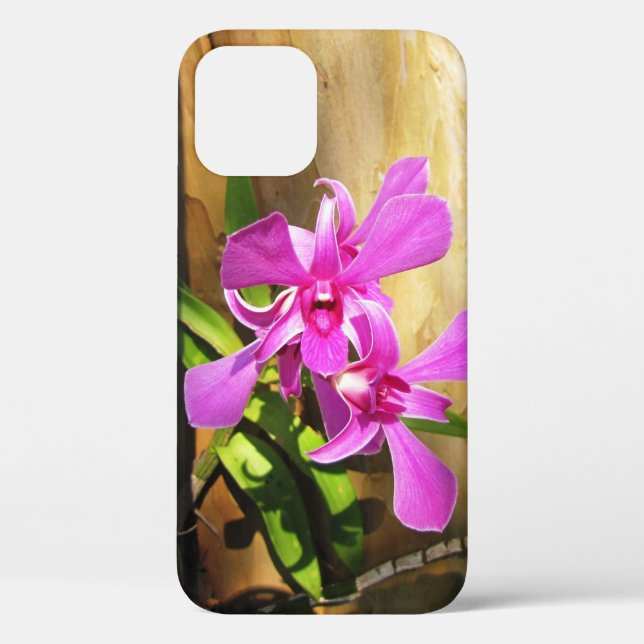 Orchid in Crepe Myrtle Tree -  iPhone 12 Case (Back)