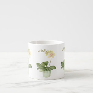 Orchid in Green Pot in Botanical Espresso Mug