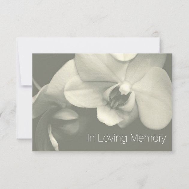 Orchid In Loving Memory Kaki Celebration Of Life Invitation | Zazzle