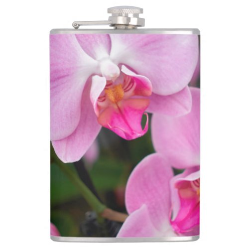 orchid in the garden flask