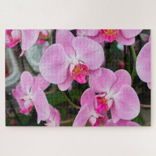 orchid in the garden jigsaw puzzle