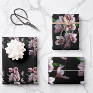 Orchid Insanity on Black Wrapping Paper Sheets