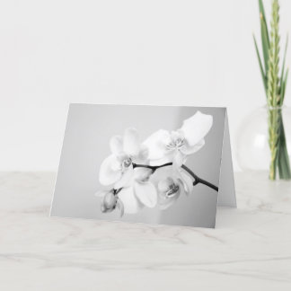 Orchid Invitation