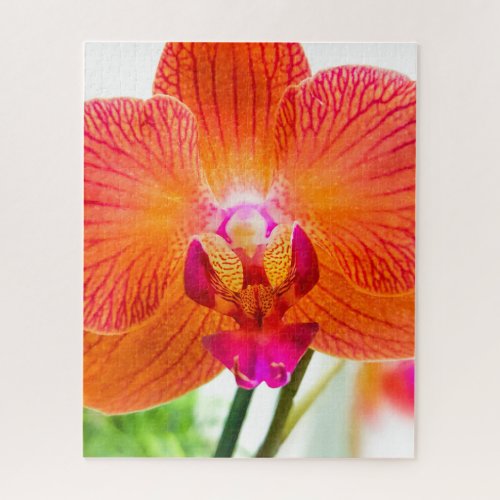 Orchid Jigsaw Puzzle