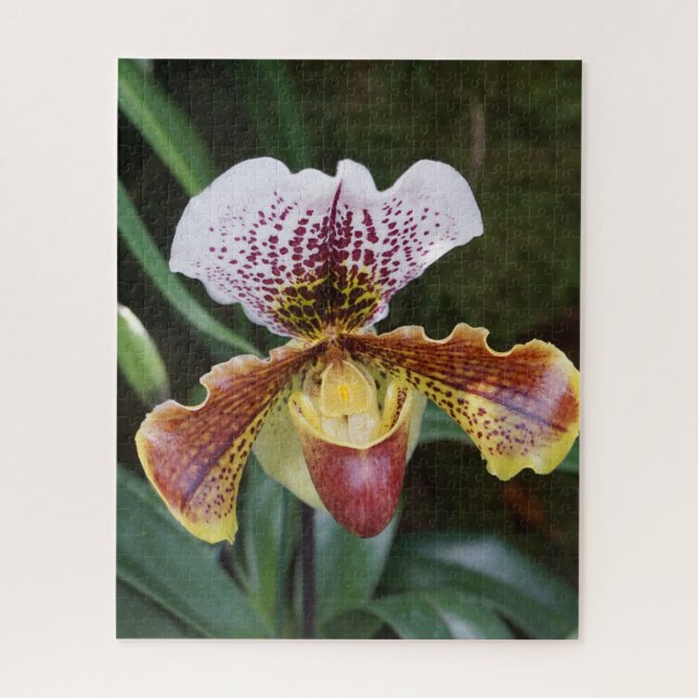Orchid Jigsaw Puzzle (Vertical)