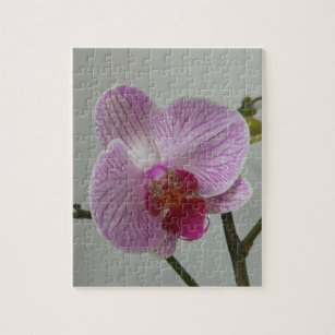 Orchid Jigsaw Puzzle