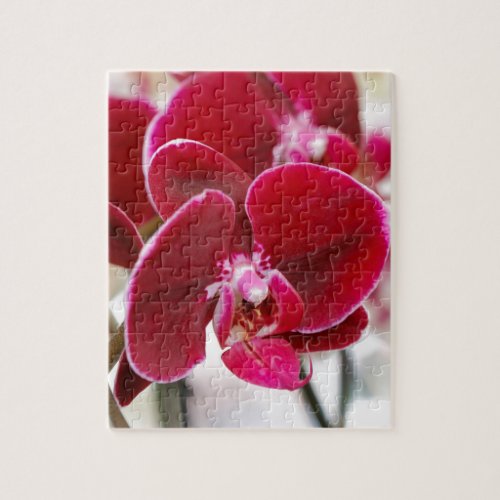 orchid jigsaw puzzle