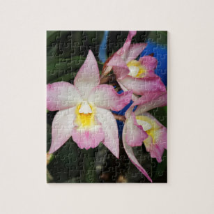 orchid jigsaw puzzle