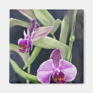 Orchid Kitchen Magnet