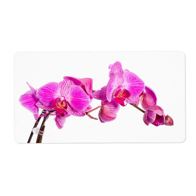 Orchid Label (Front)