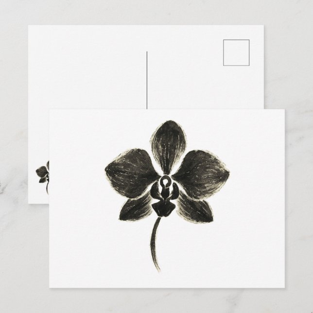 Orchid Line Drawing – Botanical Postcard (Front/Back)