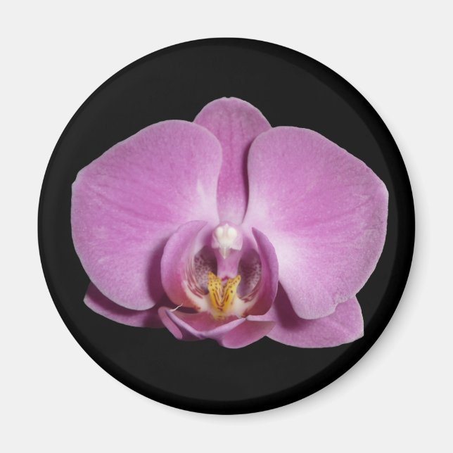 orchid magnet (Front)