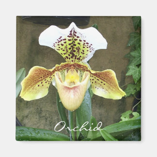 Orchid Magnet